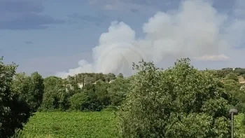 Incendie à Teyran - Hérault - 29 juin 2026 - Feux de forêts et d'espaces naturels