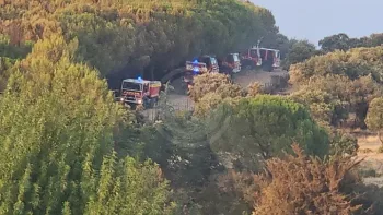 Incendie à Teyran - Hérault - 29 juin 2026 - Feux de forêts et d'espaces naturels