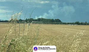 Incendie à Teyran (34) : le feu est éteint