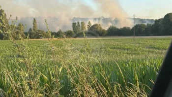 Incendie à Bellevigne - Charente - 29 juin 2026 - Feux de forêts et d'espaces naturels
