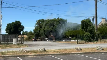 Incendie à Muzillac - Morbihan - 30 juin 2026 - Feux de forêts et d'espaces naturels