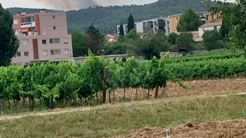 Incendie à Brignoles - Var - 30 juin 2026 - Feux de forêts et d'espaces naturels