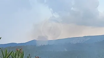 Incendie à Brignoles - Var - 30 juin 2026 - Feux de forêts et d'espaces naturels