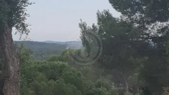 Incendie à Fréjus - Var - 30 juin 2026 - Feux de forêts et d'espaces naturels