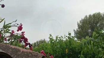 Incendie à Fréjus - Var - 30 juin 2026 - Feux de forêts et d'espaces naturels