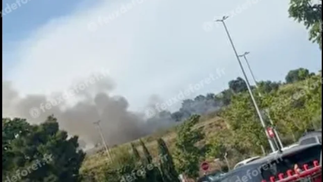 Incendie à Perpignan - Pyrénées-Orientales - 30 mai 2026 - Feux de forêts et d'espaces naturels