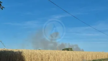 Incendie à Curzay-sur-Vonne - Vienne - 30 juin 2026 - Feux de forêts et d'espaces naturels