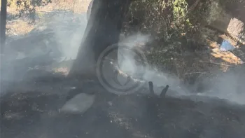 Incendie à Saint-Laurent-du-Var - Alpes-Maritimes - 1 juillet 2026 - Feux de forêts et d'espaces naturels