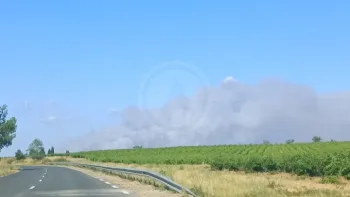 Incendie à Sainte-Valière - Aude - 1 juillet 2026 - Feux de forêts et d'espaces naturels