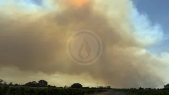 Incendie à Sainte-Valière - Aude - 1 juillet 2026 - Feux de forêts et d'espaces naturels