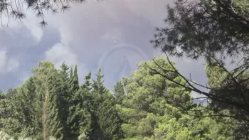 Incendie à Sainte-Valière - Aude - 1 juillet 2026 - Feux de forêts et d'espaces naturels