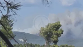 Incendie à Sainte-Valière - Aude - 1 juillet 2026 - Feux de forêts et d'espaces naturels