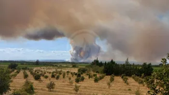 Incendie à Sainte-Valière - Aude - 1 juillet 2026 - Feux de forêts et d'espaces naturels