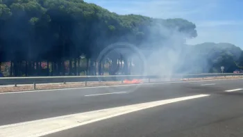 Incendie à Le Barcarès - Pyrénées-Orientales - 1 juillet 2026 - Feux de forêts et d'espaces naturels