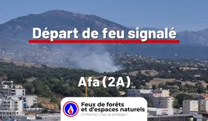 Afa (2A)
