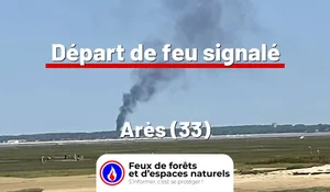 Incendie à Arès (33) : le feu est éteint