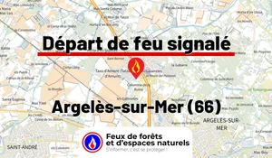 Incendie à Argelès-sur-Mer (66) : le feu est éteint