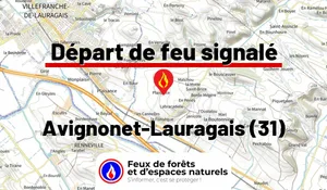 Incendie à Avignonet-Lauragais (31) : le feu est éteint