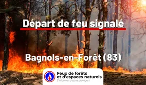 Incendie à Bagnols-en-Forêt (83) : le feu est éteint