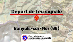 Incendie à Banyuls-sur-Mer (66) : le feu est éteint