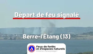 Incendie à Berre-l'Étang (13) : le feu est éteint