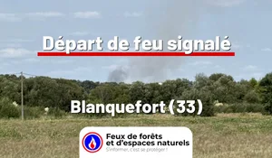 Incendie à Blanquefort (33) : le feu est éteint