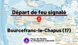 Incendie à Bourcefranc-le-Chapus (17) : le feu est éteint