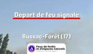 Incendie à Bussac-Forêt (17) : le feu est éteint