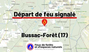Incendie à Bussac-Forêt (17) : le feu est éteint
