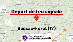 Incendie à Bussac-Forêt (17) : le feu est éteint