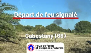 Incendie à Cabestany (66) : le feu est éteint