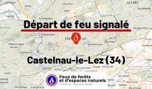 Incendie à Castelnau-le-Lez (34) : le feu est éteint