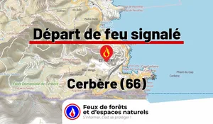 Incendie à Cerbère (66) : le feu est éteint