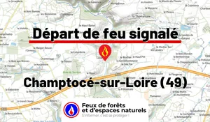 Incendie à Champtocé-sur-Loire (49) : le feu est éteint