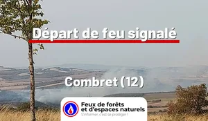 Combret (12)