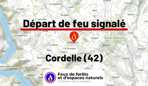 Cordelle (42)