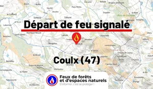 Coulx (47)