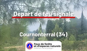 Incendie à Cournonterral (34) : le feu est éteint