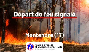 Incendie à Montendre (17) : le feu est éteint