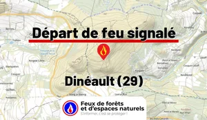 Dinéault (29)