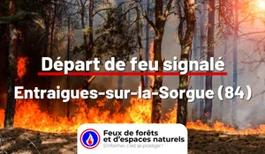 Incendie à Entraigues-sur-la-Sorgue (84) : le feu est éteint