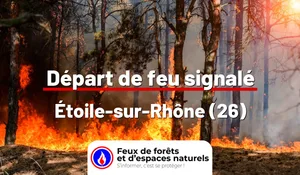 Incendie à Étoile-sur-Rhône (26) : le feu est éteint