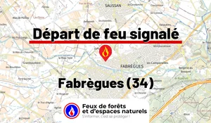 Incendie à Fabrègues (34) : le feu est éteint