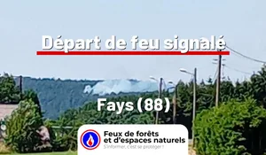 Fays (88)