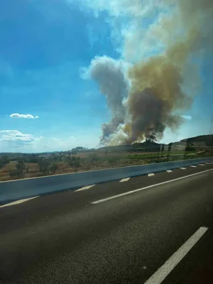 Incendie à Feu de forêt à Bizanet (Aude) : ce que l'on sait : le feu est éteint