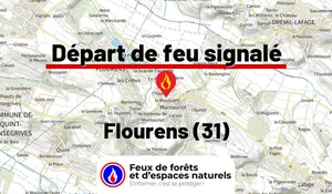 Incendie à Flourens (31) : le feu est éteint