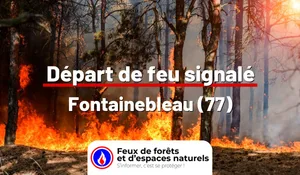 Incendie à Fontainebleau (77) : le feu est éteint
