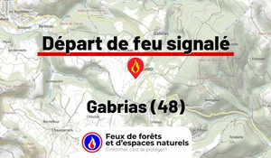 Gabrias (48)