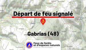 Gabrias (48)