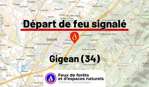 Incendie à Gigean (34) : le feu est éteint